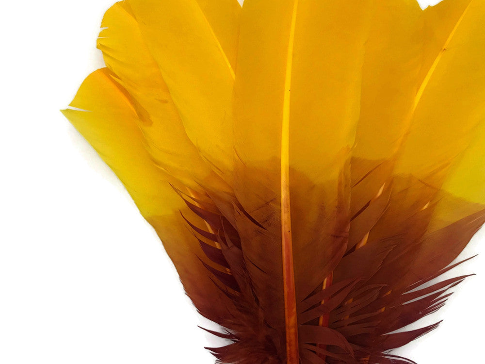 6 Pieces - Gryffindor Brown & Gold Two Tone Turkey Rounds Tom Wing Quill Feathers