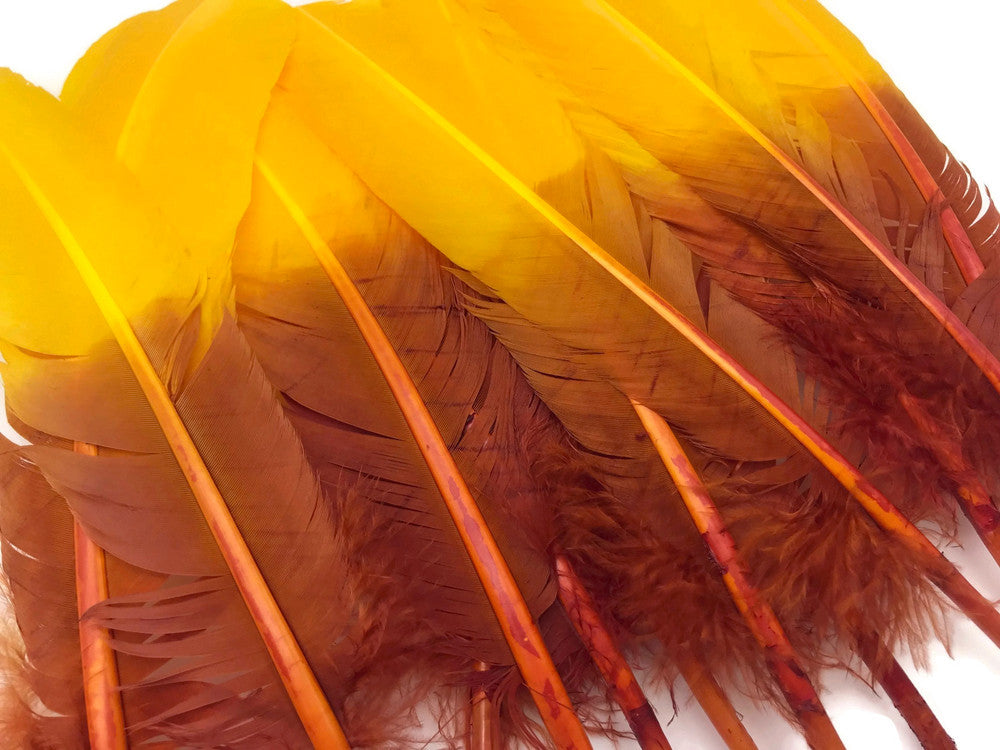 6 Pieces - Gryffindor Brown & Gold Two Tone Turkey Rounds Tom Wing Quill Feathers