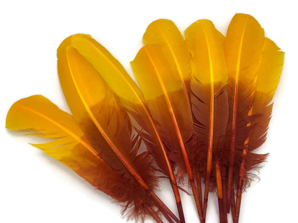 6 Pieces - Gryffindor Brown & Gold Two Tone Turkey Rounds Tom Wing Quill Feathers