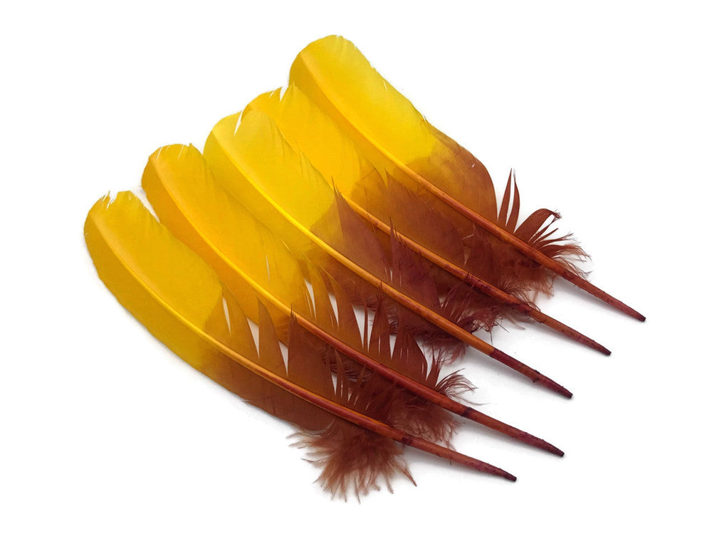 6 Pieces - Gryffindor Brown & Gold Two Tone Turkey Rounds Tom Wing Quill Feathers