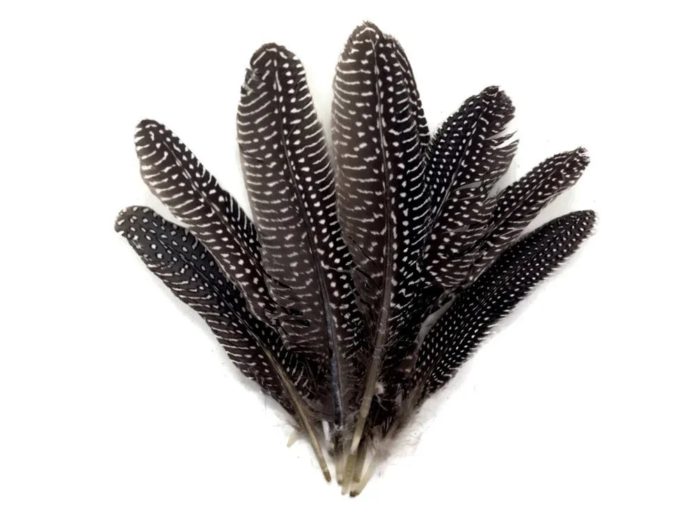 Black and white speckled pattern feathers for DIY crafts and fashion decor