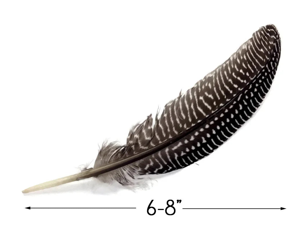 6-8 inch brown and white striped patterned feather for crafts and decor