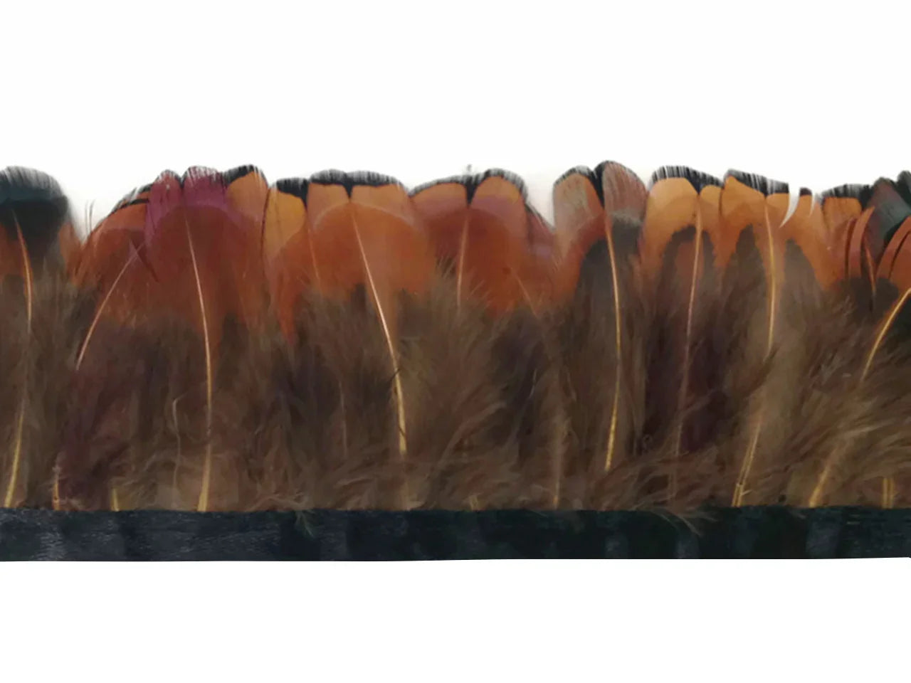Brown and orange variegated feathers trimmed on a black fabric band for DIY crafts.
