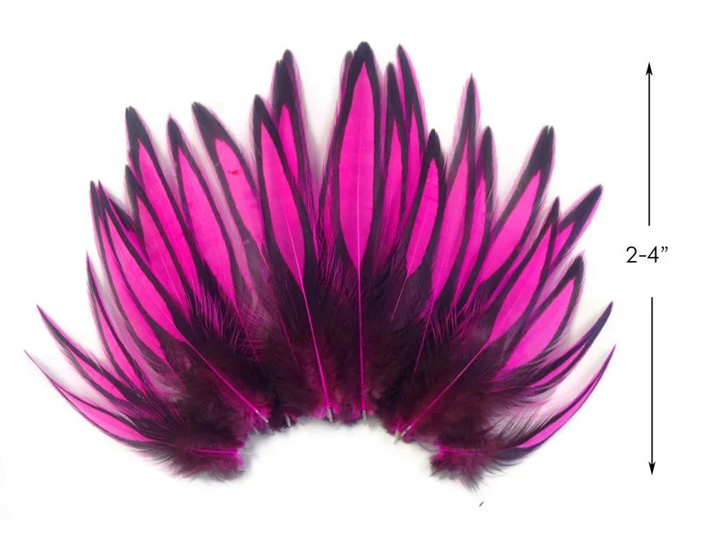 Vibrant pink and black dyed feathers for DIY crafts and fashion decor, 2-4 inches long.
