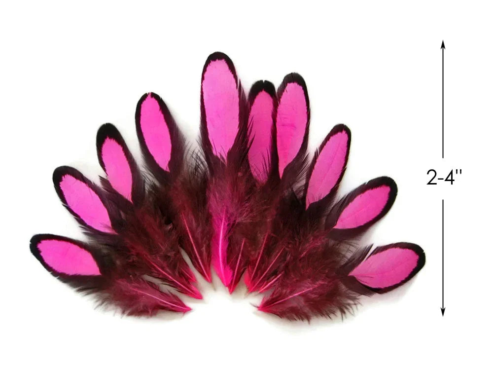 Vibrant pink and dark brown craft feathers, 2-4 inches in length for DIY fashion and decor.
