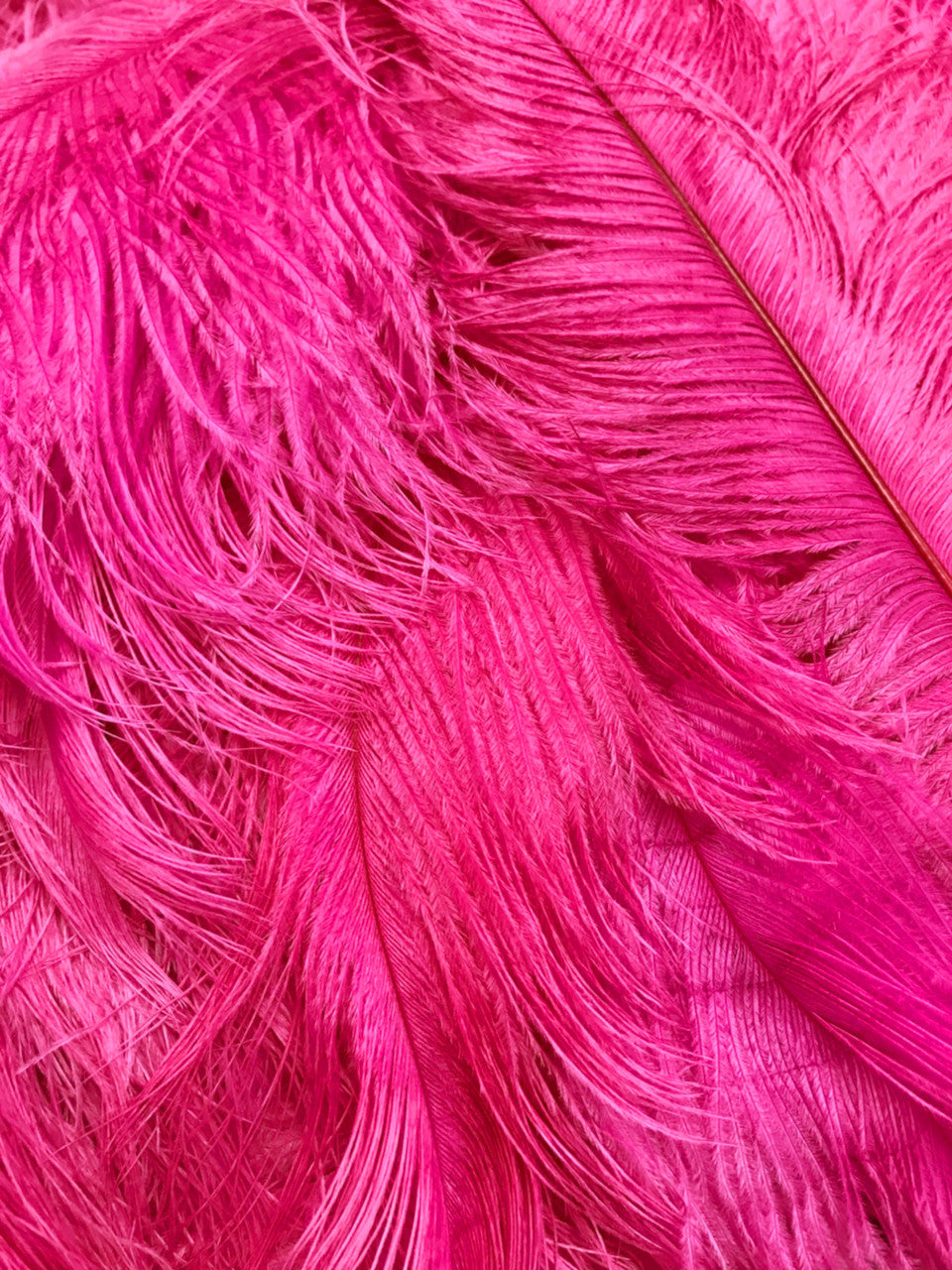 100 Pieces - 6-8" Hot Pink Ostrich Drab Wholesale Feathers (Bulk)
