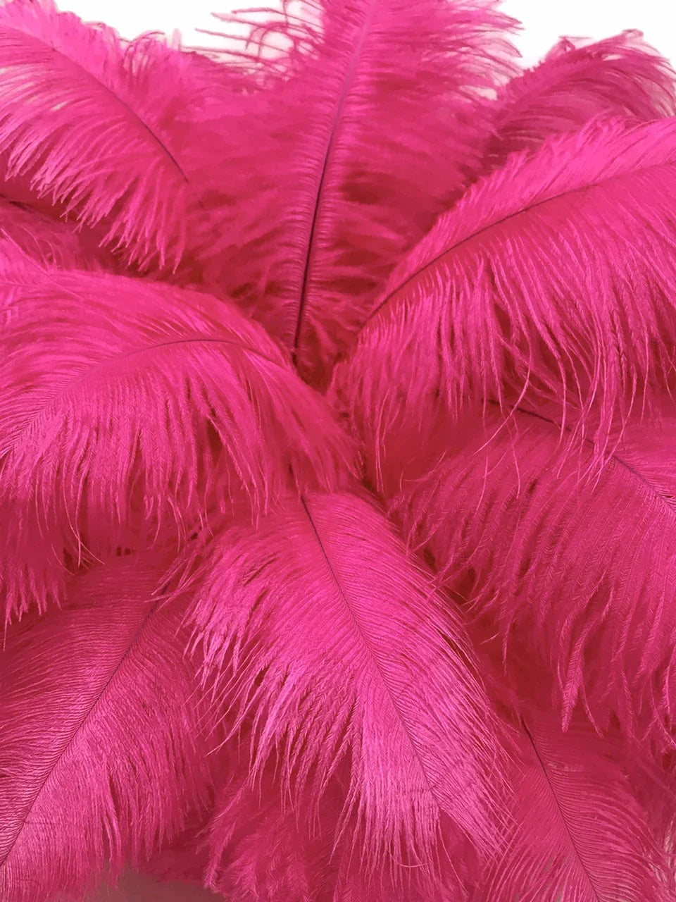 Vibrant pink ostrich feathers for crafts and fashion decor.