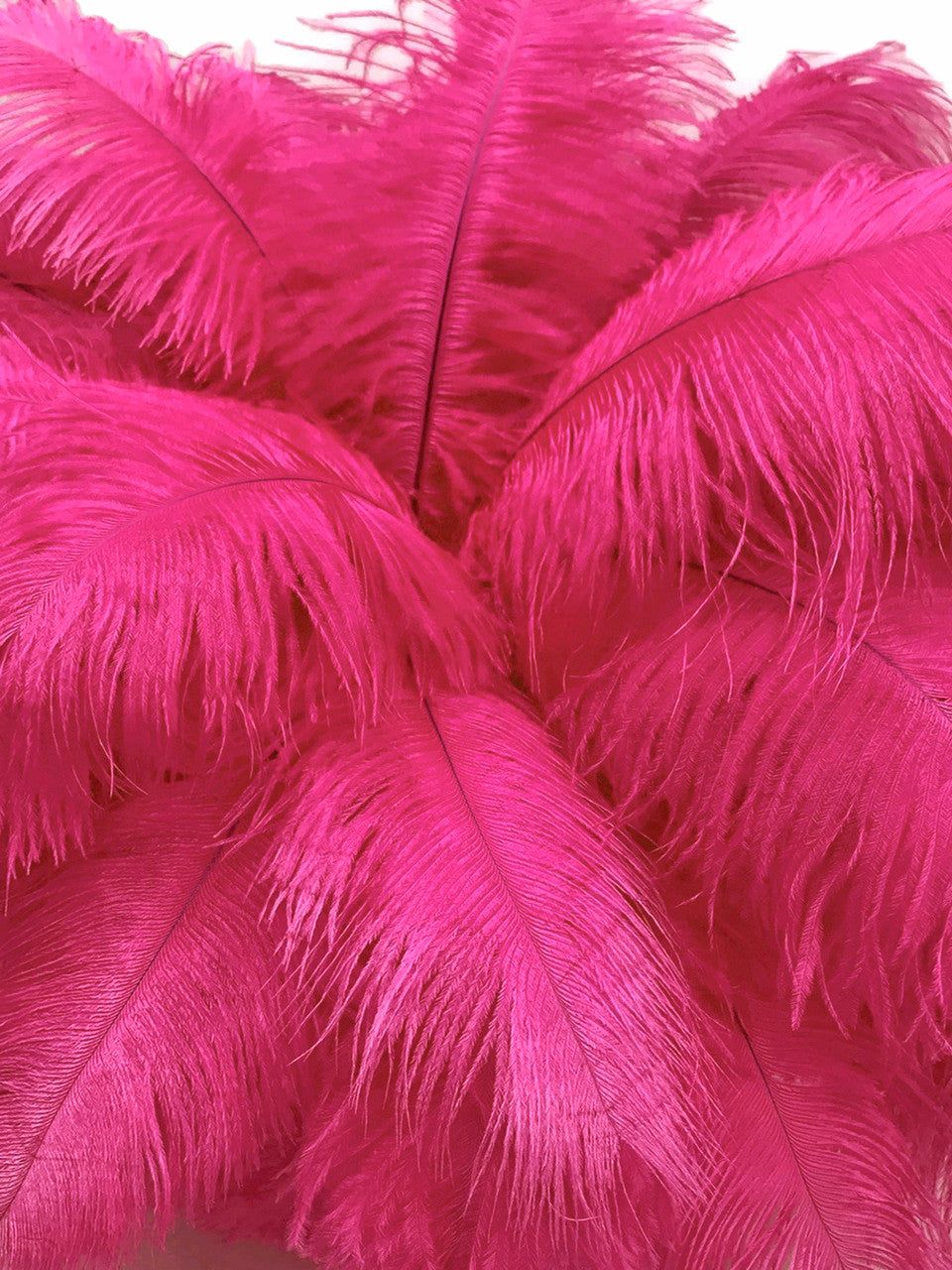 100 Pieces - 6-8" Hot Pink Ostrich Drab Wholesale Feathers (Bulk)