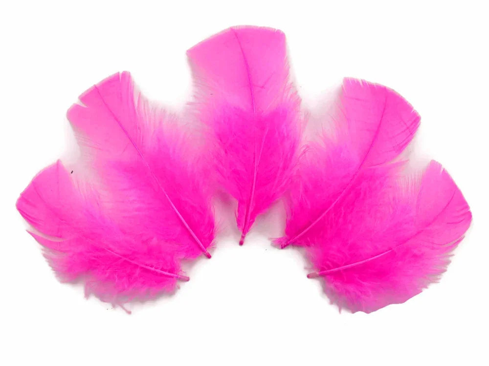 Five vibrant hot pink feathers arranged in a semi-circle on a white background.