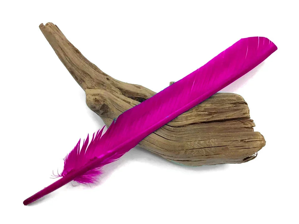 Vibrant magenta pink feather resting on a piece of natural driftwood decor.
