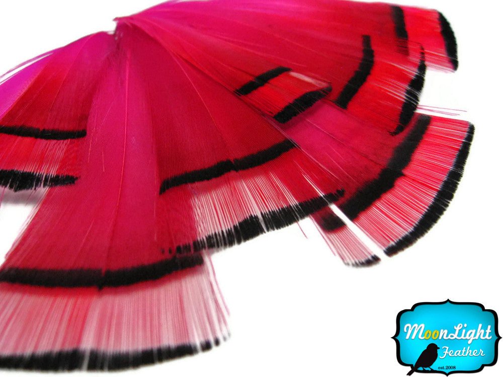 1 Dozen - Hot Pink Golden Pheasant Tippet Feather