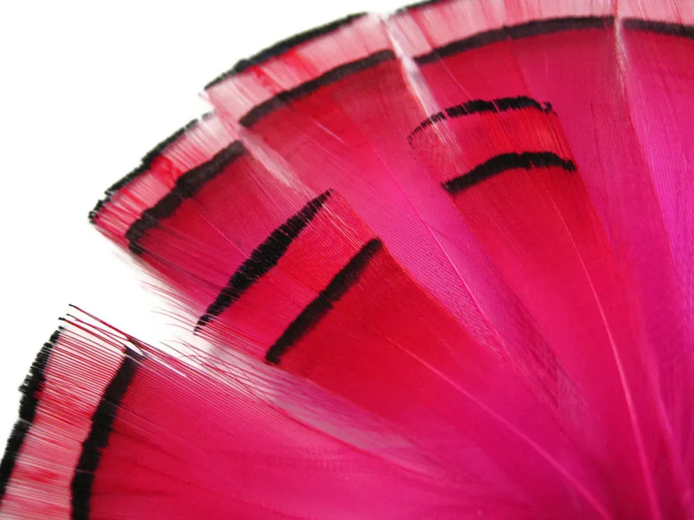 1 Dozen - Hot Pink Dyed Golden Pheasant Tippet Neck Plumage Feather