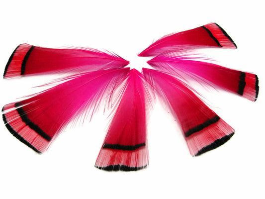 1 Dozen - Hot Pink Golden Pheasant Tippet Feather