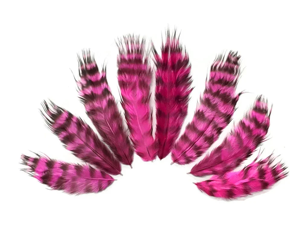 Vibrant pink and black striped feathers for DIY crafts and fashion accessories.