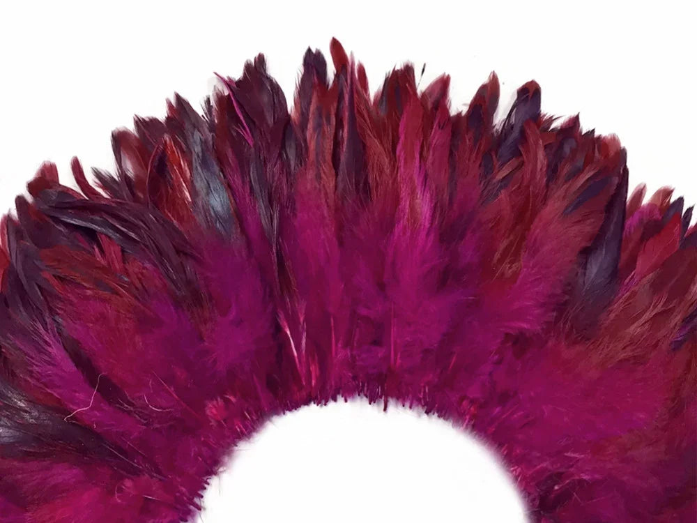 Vibrant magenta and deep burgundy feathers arranged in a decorative arch.
