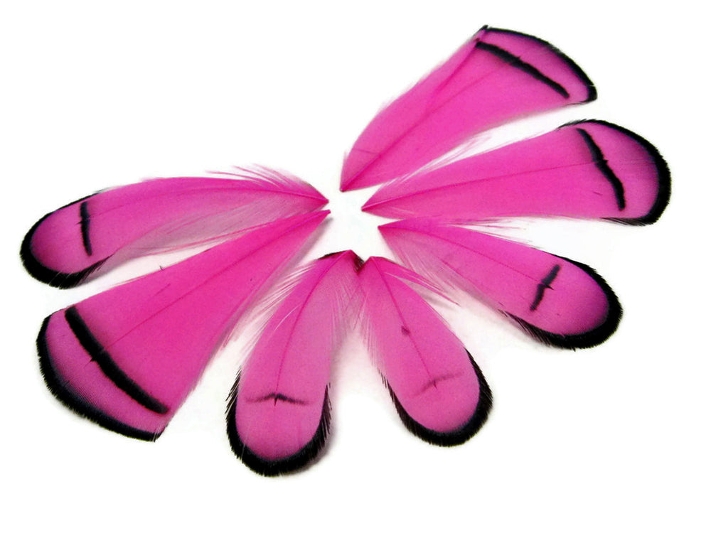 1 Dozen - Dyed Hot Pink Lady Amherst Pheasant Tippet Feathers
