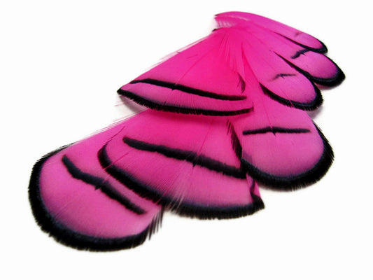 1 Dozen - Dyed Hot Pink Lady Amherst Pheasant Tippet Feathers