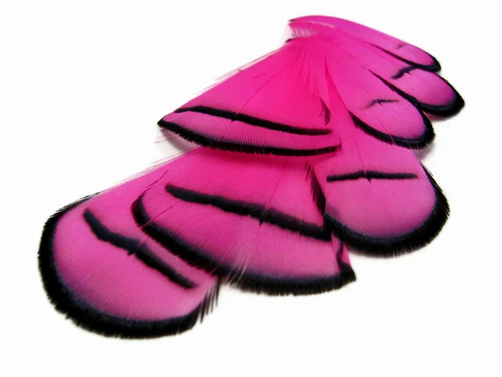 Vibrant pink feathers with black edges for DIY crafts and fashion décor