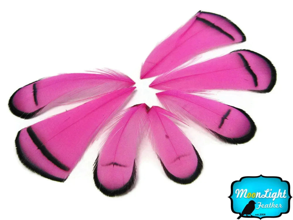 Vibrant pink feathers with black tips arranged in a fan shape for DIY crafts and fashion.
