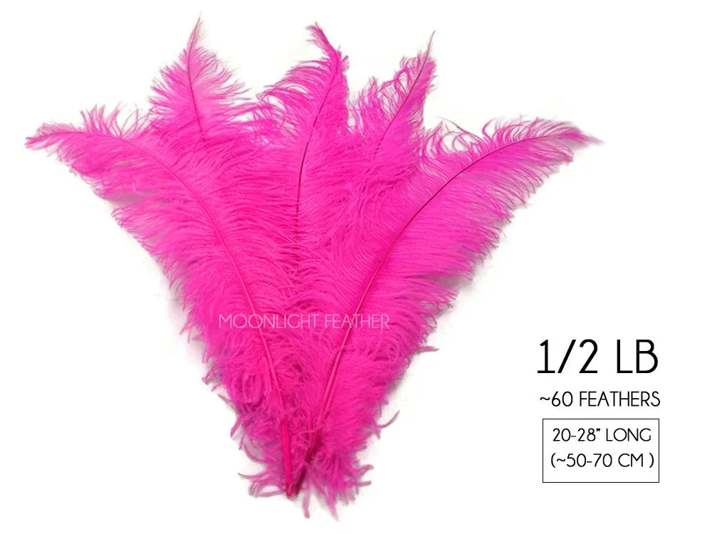 Bright pink ostrich feathers for crafts and fashion decor, 20-28 inches long.
