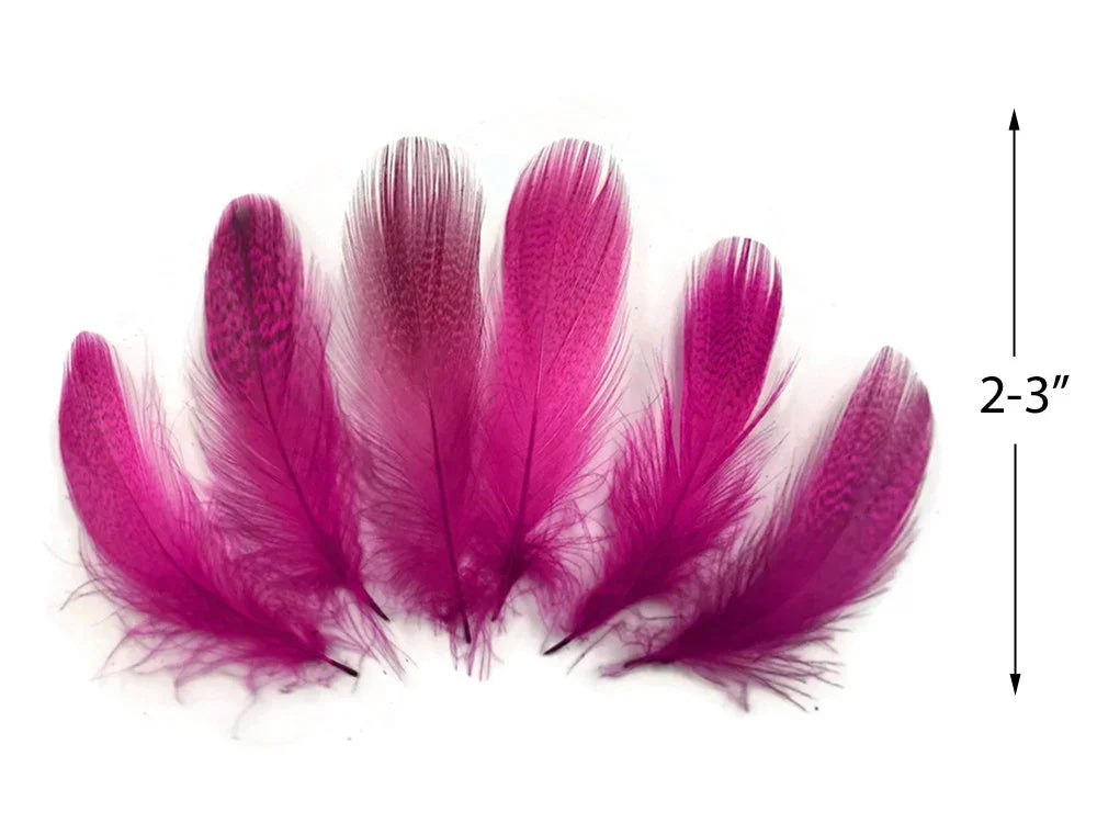 Set of vibrant pink craft feathers, 2-3 inches long, for DIY fashion and decor.