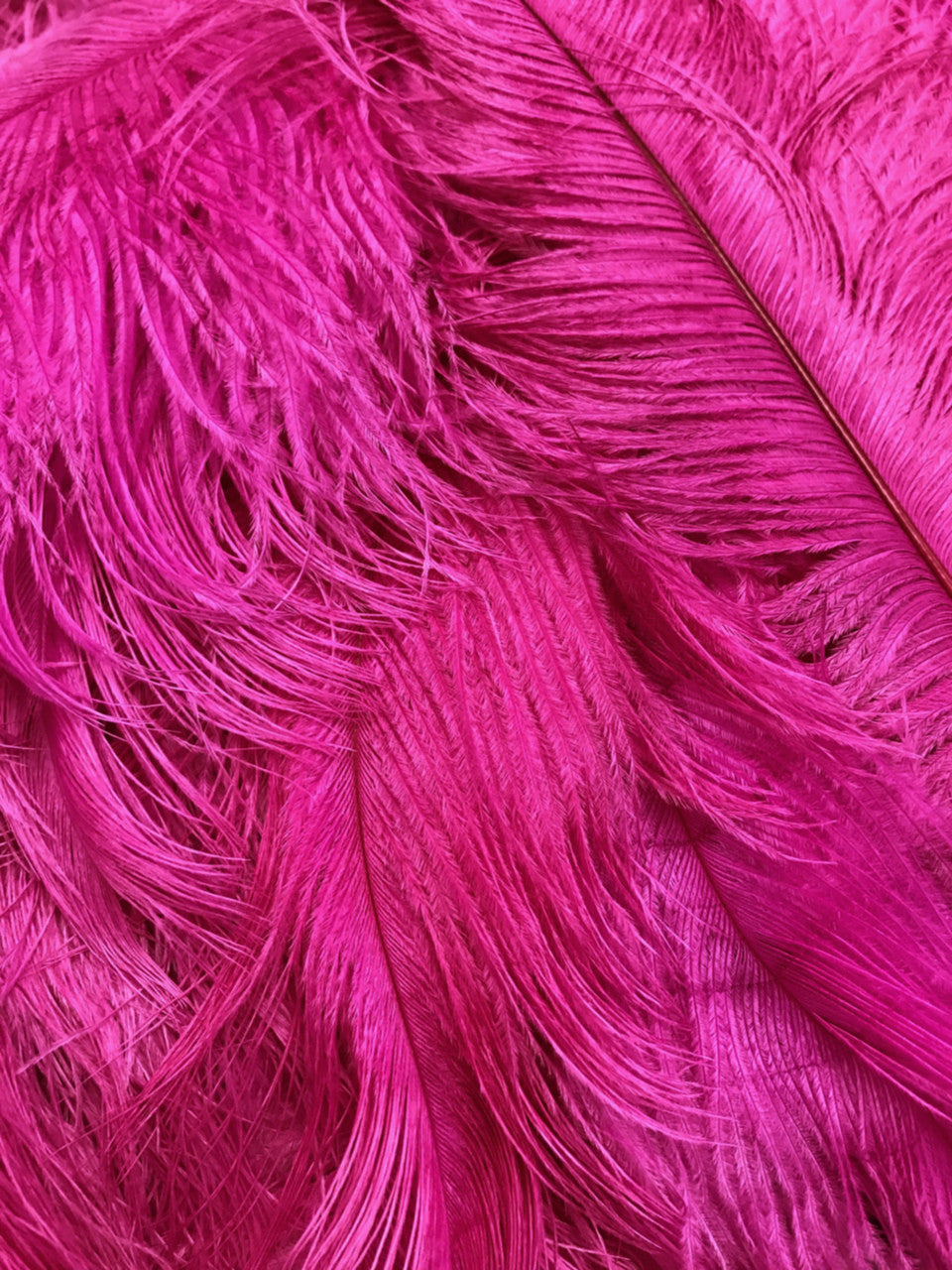 1/2 Lb. - 19-24" Hot Pink Ostrich Extra Long Drab Wholesale Feathers (Bulk)