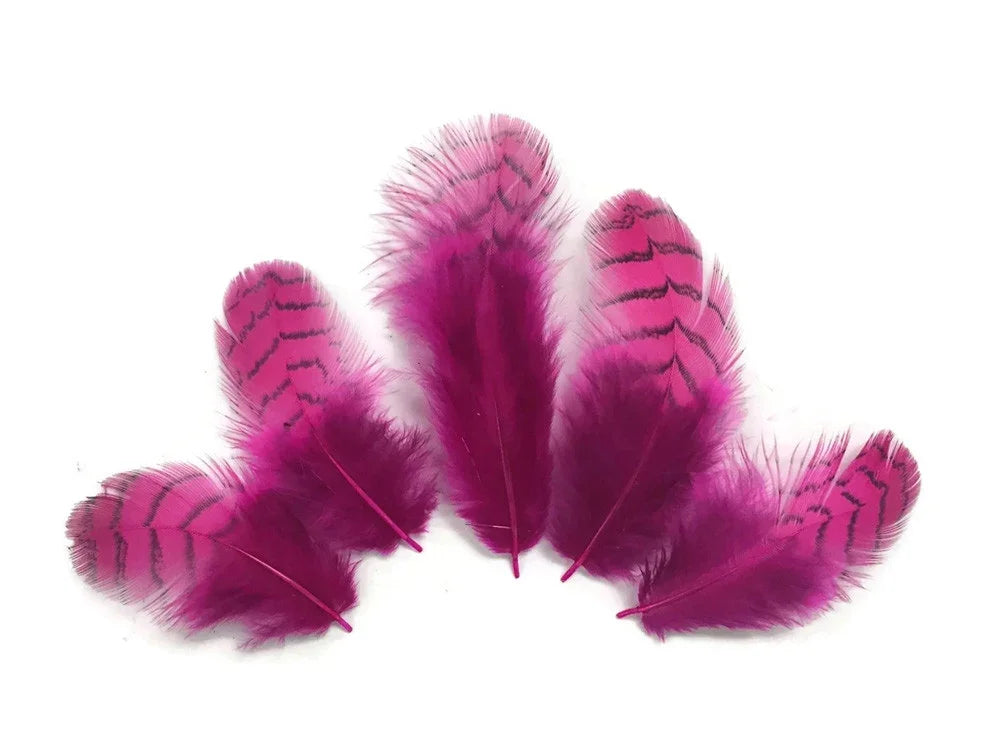 Five vibrant magenta feathers with black striped patterns for crafts and fashion DIY.