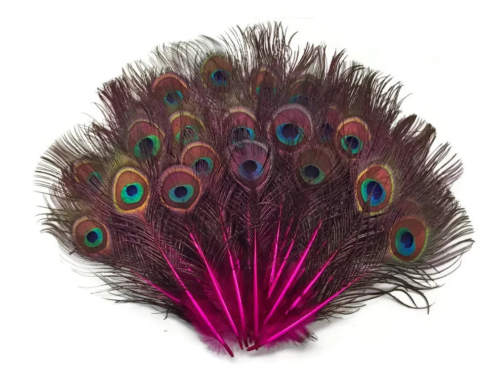 Vibrant peacock feathers with colorful eye patterns and bright pink accents for DIY crafts.