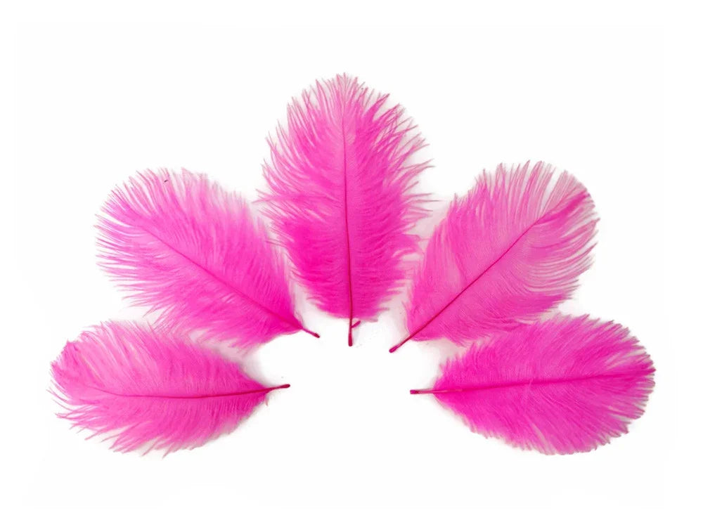 Five vibrant pink feathers arranged in a fan shape on a white background for crafts and decor.