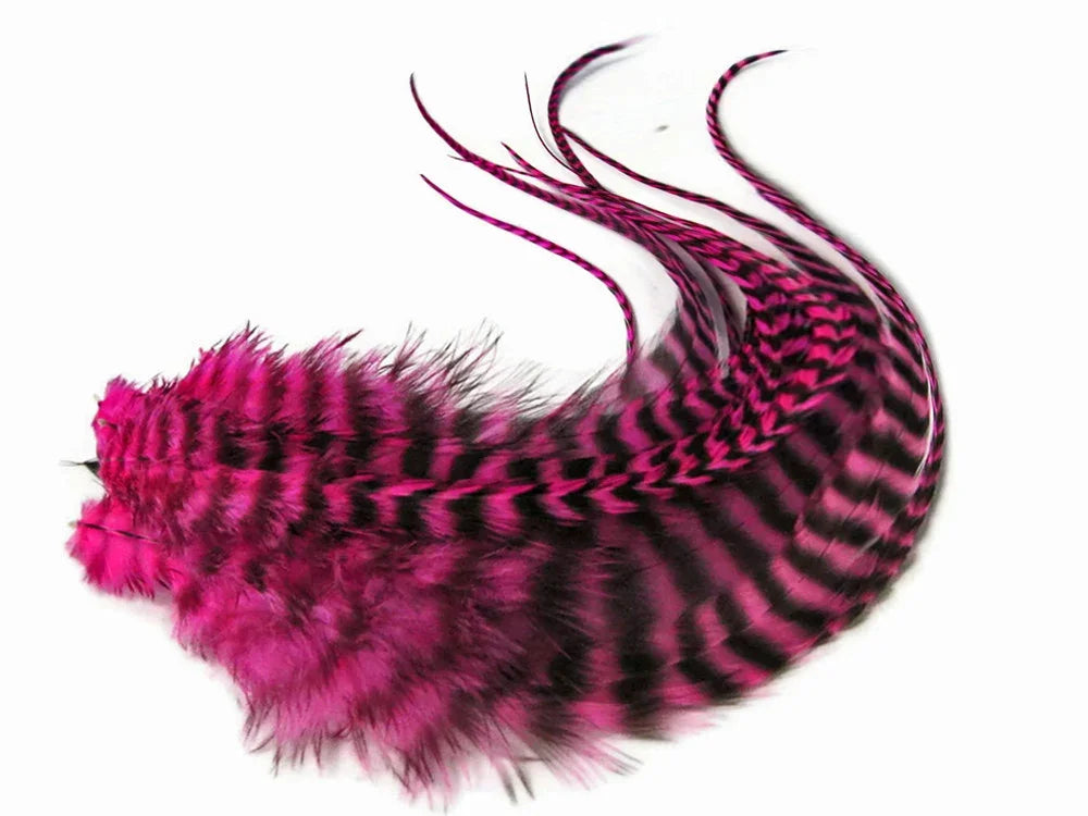 Vibrant pink and black striped decorative feathers for crafts and fashion DIY projects.