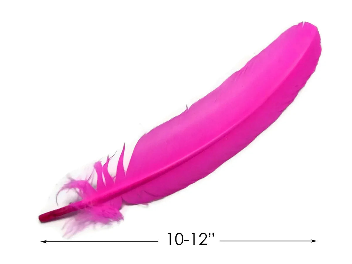 Vibrant hot pink feather for crafts and fashion decor, 10-12 inches long.