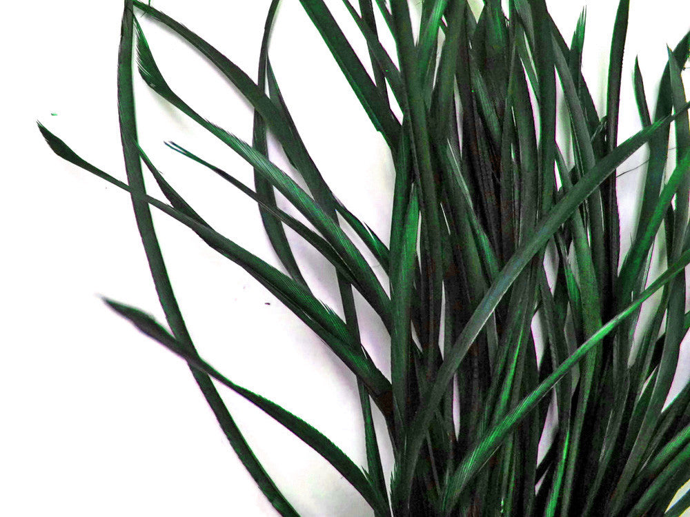 1 Yard - Hunter Green Goose Biots Stripped Wing Wholesale Feather Trim