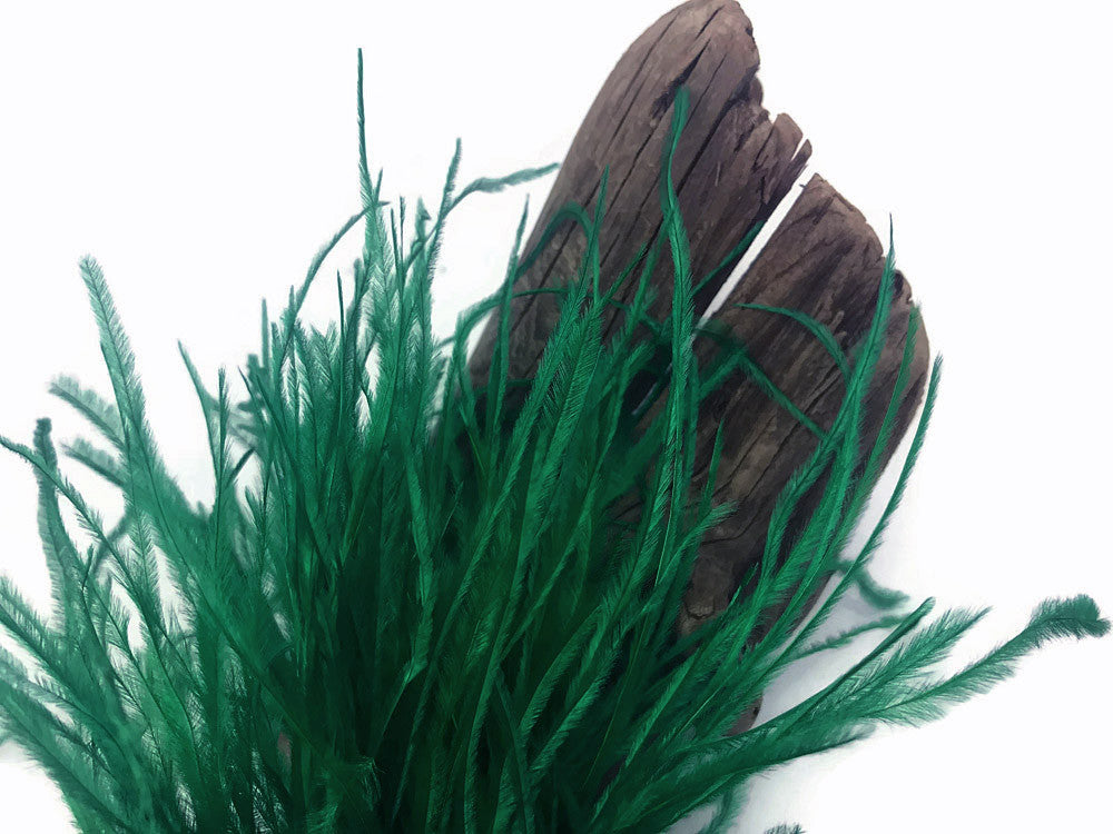 6 Inch Strip - Hunter Green Ostrich Fringe Trim Feather