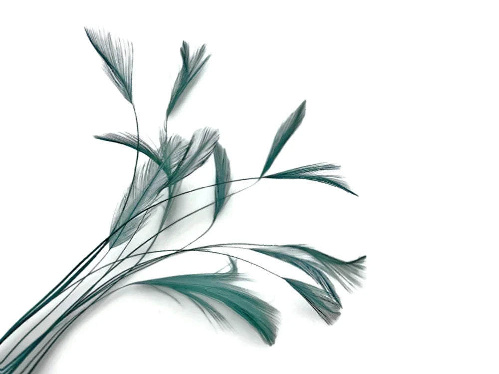 Elegant teal dyed feathers for DIY crafts and fashion decor on a white background.