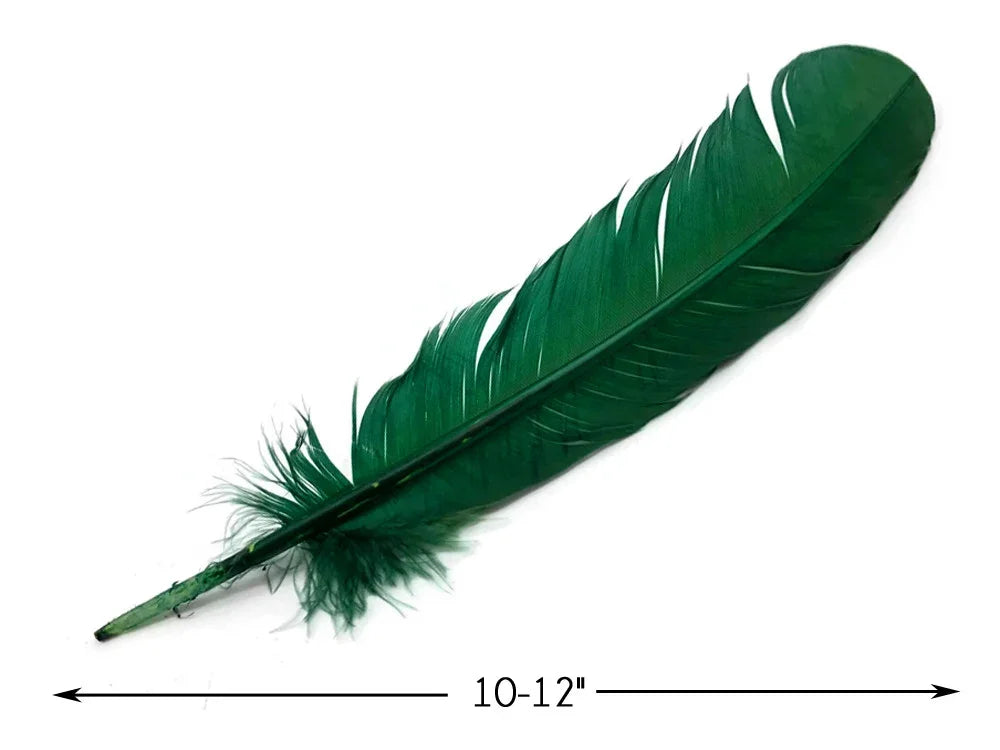 Large 10-12 inch emerald green feather for crafts and fashion decor.