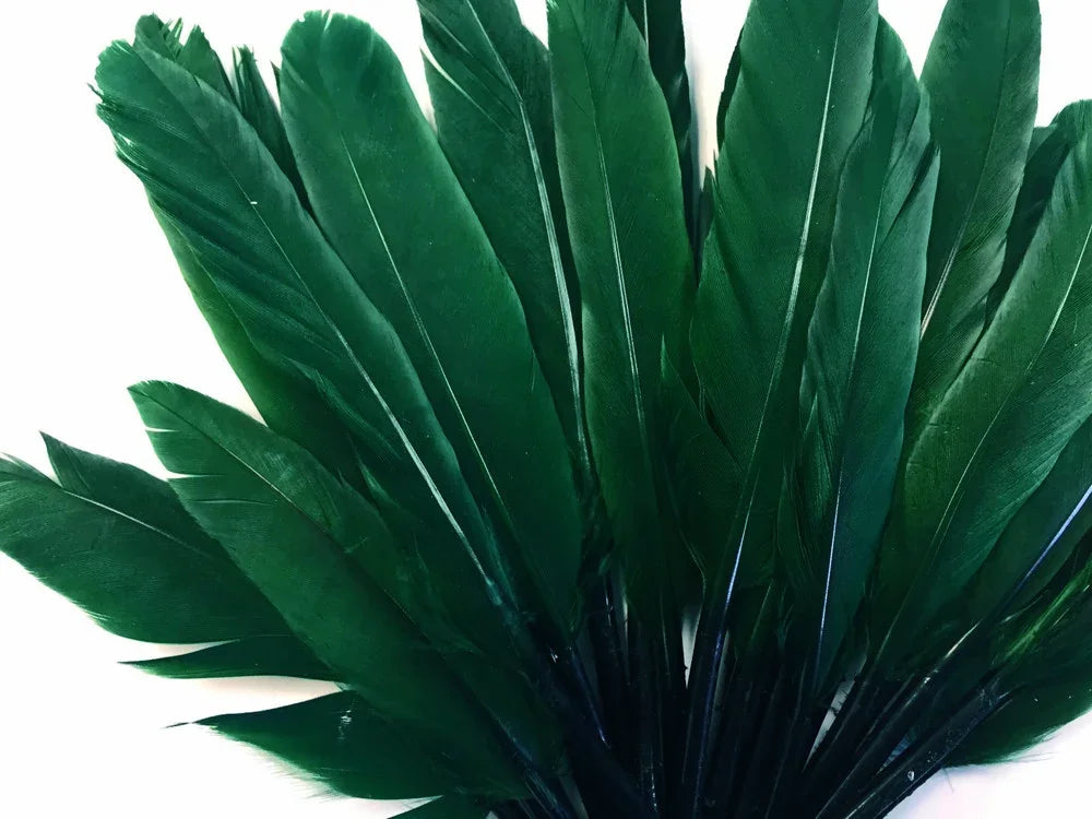 Vibrant dark green feathers arranged in a fan shape for crafts and fashion decor.