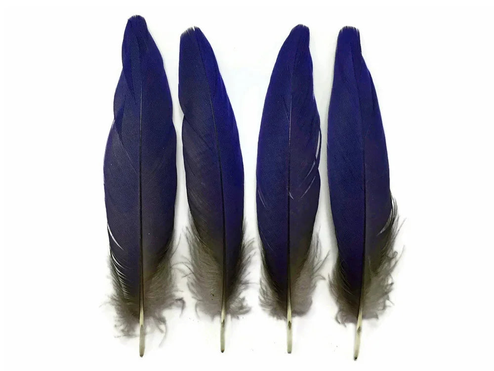 Four vibrant deep blue feathers with dark tips for DIY crafts and fashion decor.