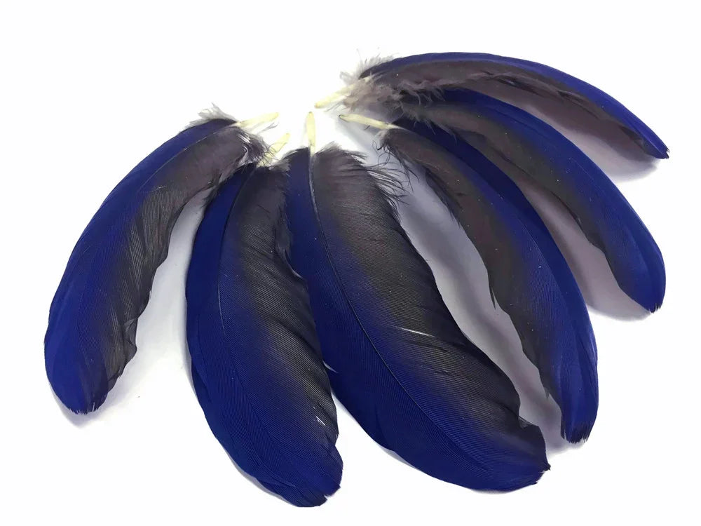 Vibrant deep blue craft feathers for DIY fashion and decor accessories.
