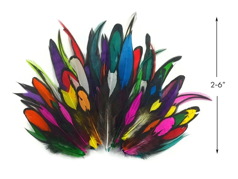 Vibrant multi-colored craft feathers for DIY fashion and decor, 2-6 inches long.