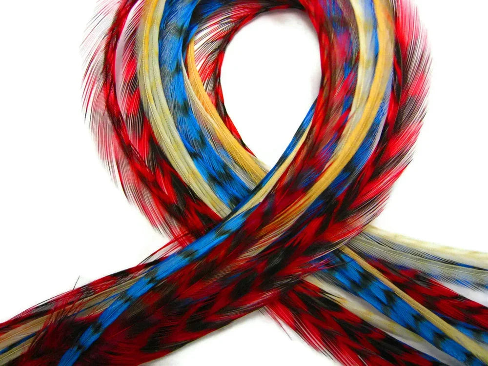 Vibrant multicolored feathers in red, blue, and gold arranged in a loop on a white background.