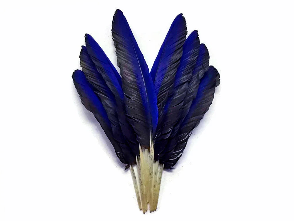 Bundle of vibrant deep blue feathers for DIY crafts and fashion accessories.