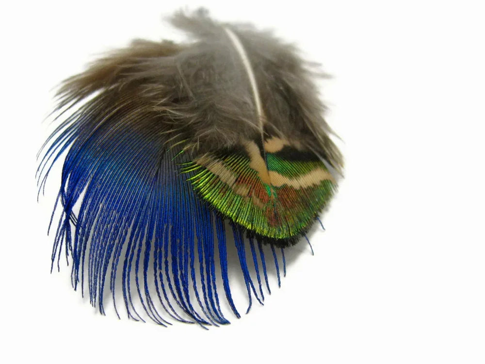 20 Pieces - Mix Iridescent Blue, Green & Gold Peacock Plumage Loose Feathers
