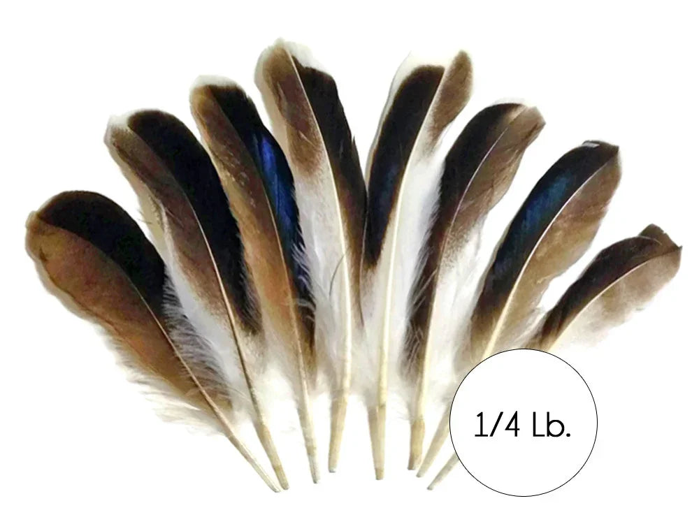 Assorted natural brown and white feathers for crafts and fashion decor, 1/4 lb pack.
