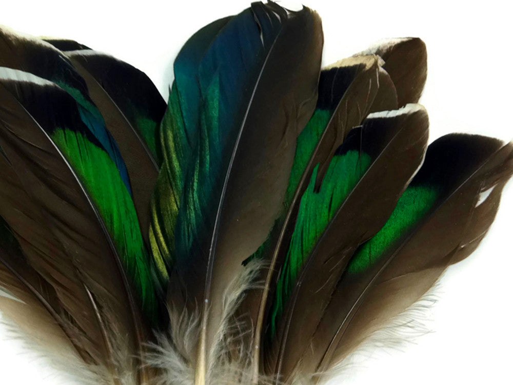 10 Pieces - Iridescent Green Mallard Duck Wing Feathers