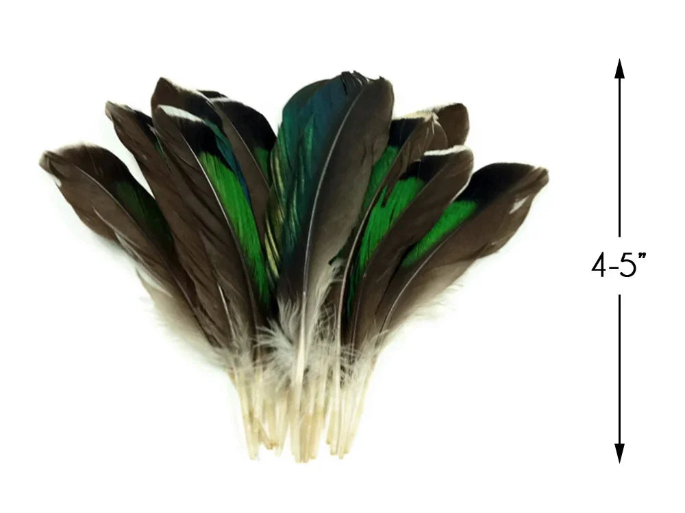 Iridescent green and brown natural feathers for crafts and fashion decor, 4-5 inches long.