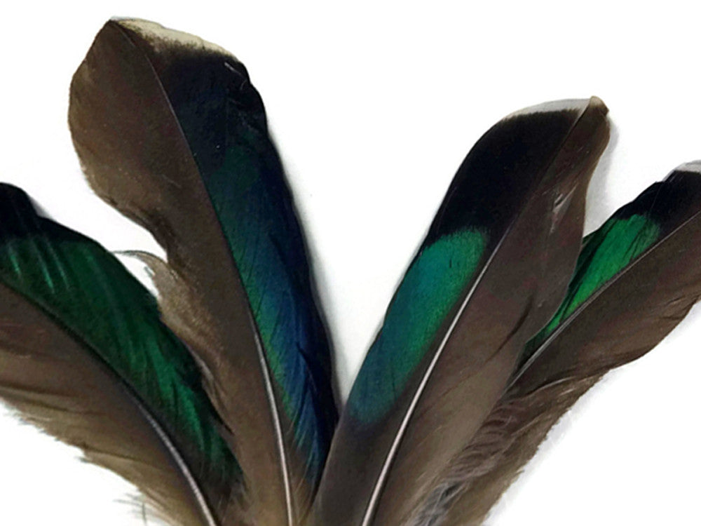 10 Pieces - Iridescent Green Mallard Duck Wing Feathers