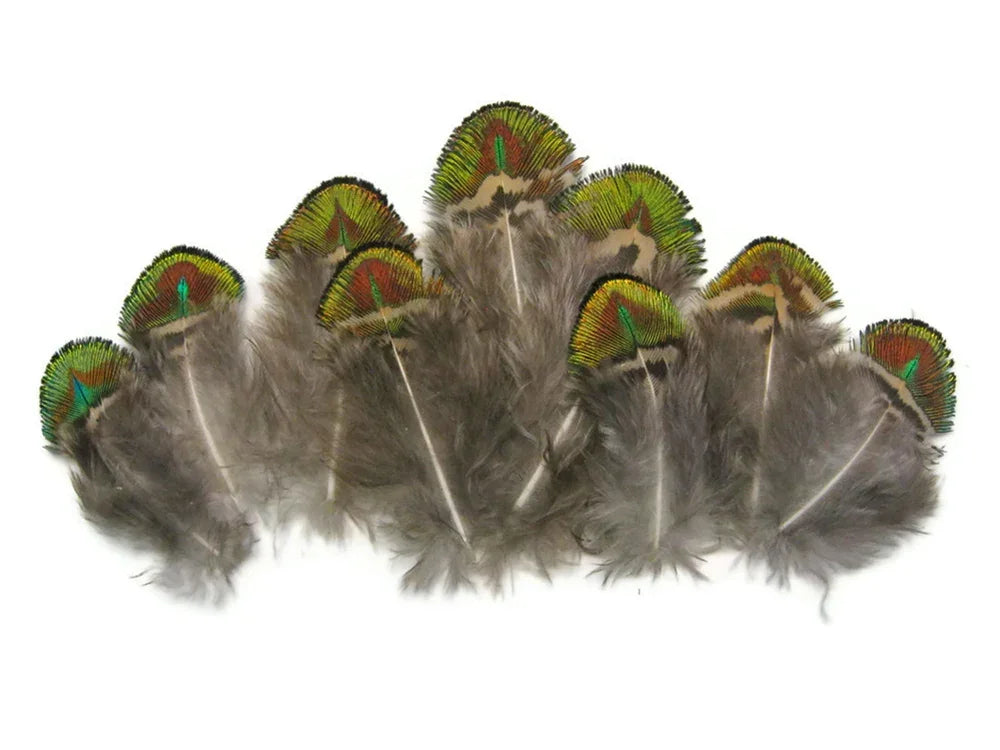 10 Pieces - Iridescent Green Gold Peacock Plumage Loose Feather