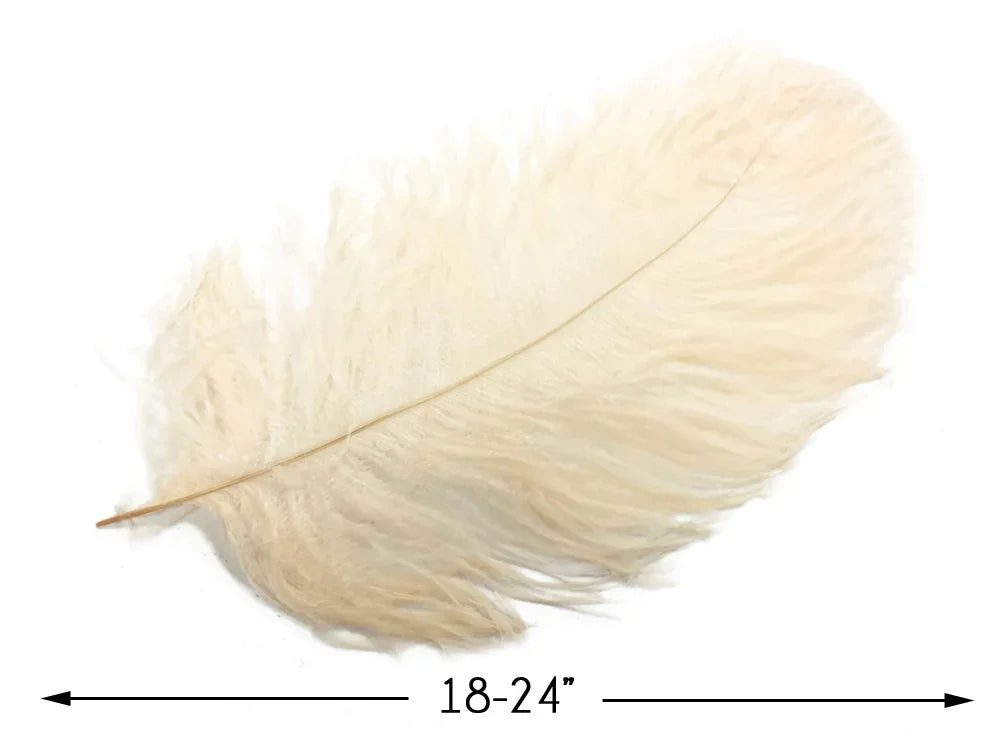 Large cream ostrich feather for DIY crafts and fashion decor, 18-24 inches long.