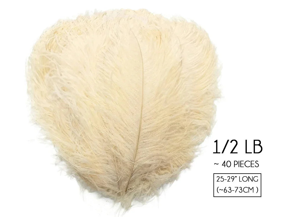 Cream white ostrich feathers for crafts and decor, 40 pieces, 25-29 inches long.