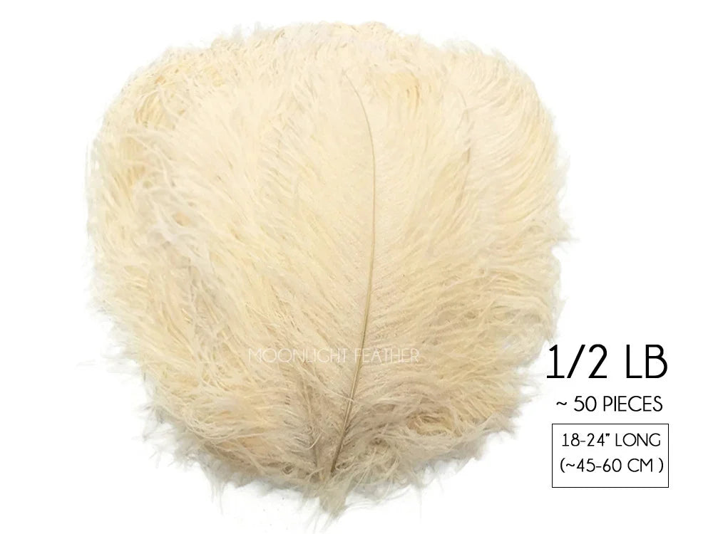 1/2 lb pack of approximately 50 cream ostrich feathers, 18-24 inches long